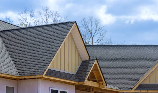 Best Solar Panel Roofing Installation  in Florence, MT