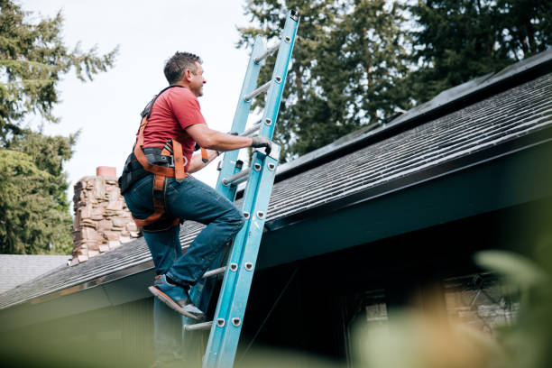 Best Asphalt Shingle Roofing  in Florence, MT